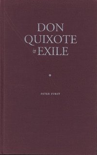 bokomslag Don Quixote in Exile