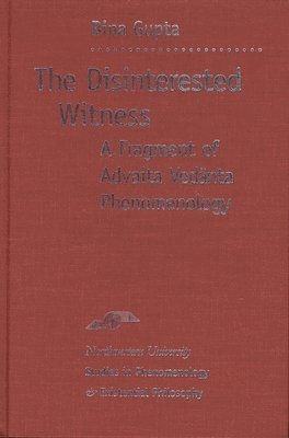 bokomslag The Disinterested Witness