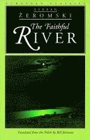 bokomslag Faithful River