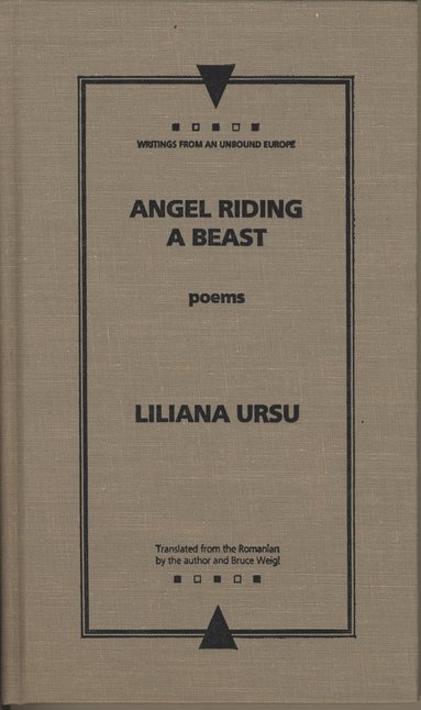 bokomslag Angel Riding a Beast