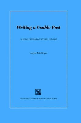 bokomslag Writing a Usable Past