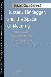 bokomslag Husserl, Heidegger, and the Space of Meaning