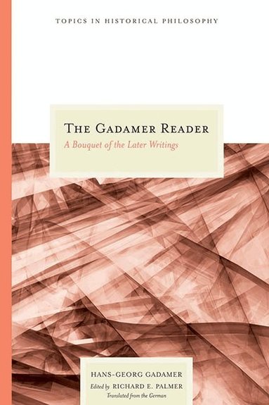 Hans-Georg Gadamer, Richard E. Palmer, Richard E Palmer - Gadamer Reader, Häftad