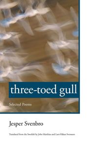 bokomslag Three-toed Gull