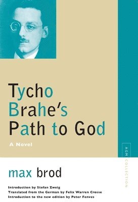 bokomslag Tycho Brahe's Path to God