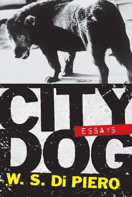 bokomslag City Dog