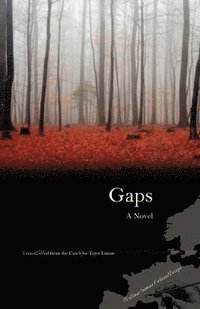 bokomslag Gaps