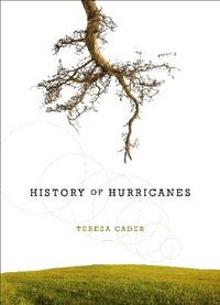 bokomslag History of Hurricanes