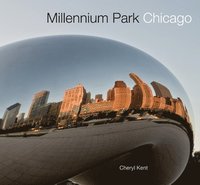bokomslag Millennium Park Chicago