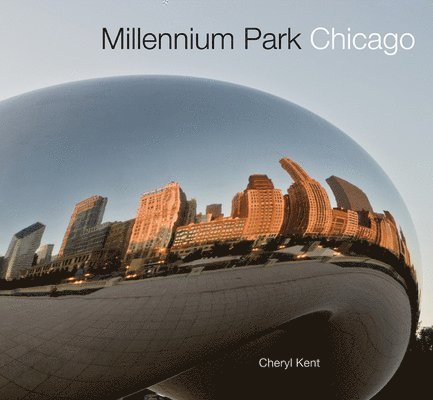 Millennium Park Chicago 1