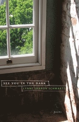 See You in the Dark 1