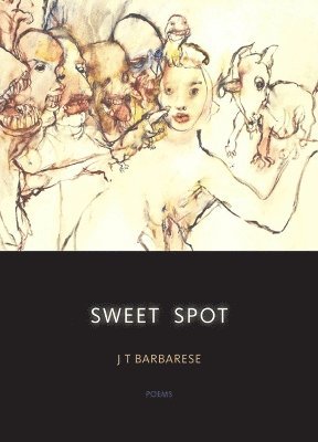 Sweet Spot 1