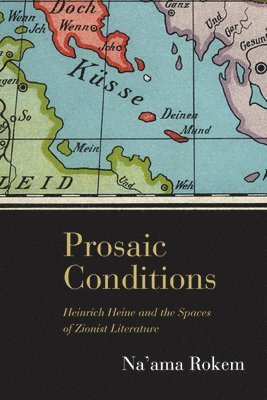 bokomslag Prosaic Conditions