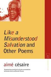 bokomslag Like a Misunderstood Salvation and Other Poems