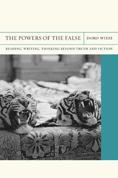 bokomslag Powers of the False
