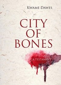 bokomslag City of Bones