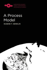 bokomslag A Process Model