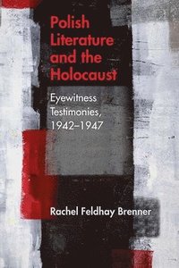 bokomslag Polish Literature and the Holocaust