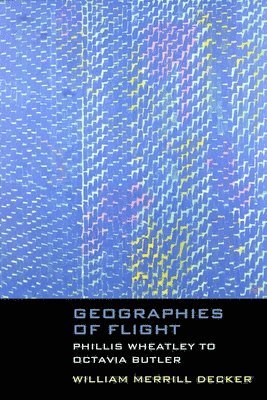 bokomslag Geographies of Flight