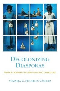 bokomslag Decolonizing Diasporas