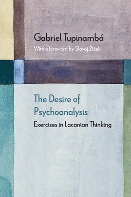 bokomslag The Desire of Psychoanalysis