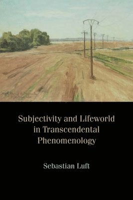 bokomslag Subjectivity and Lifeworld in Transcendental Phenomenology