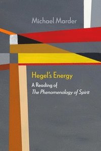 bokomslag Hegel's Energy