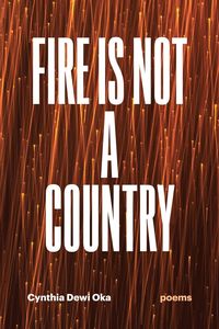 bokomslag Fire Is Not a Country