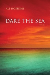bokomslag Dare the Sea