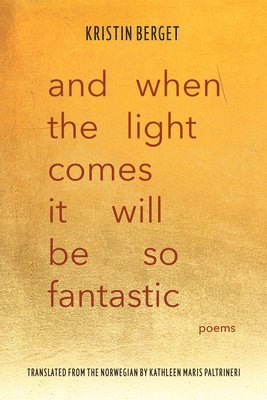 And When the Light Comes It Will Be So Fantastic: Poems 1