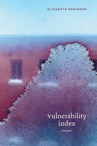 bokomslag Vulnerability Index