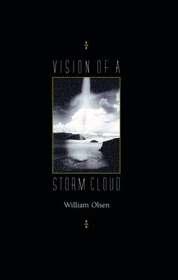 Vision of a Storm Cloud 1