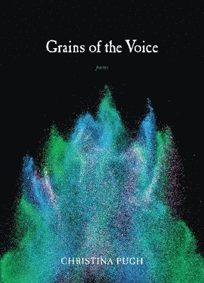 bokomslag Grains of the Voice