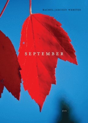 September 1