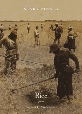 Rice 1