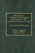 bokomslag The Native American in Short Fiction in the Saturday Evening Post