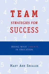 bokomslag Team Strategies for Success