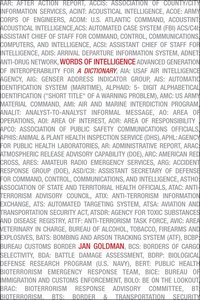 bokomslag Words of Intelligence