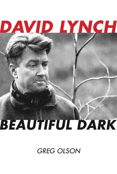 bokomslag David Lynch