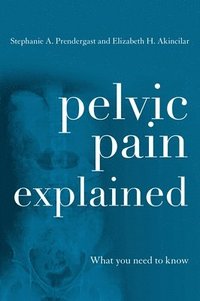 bokomslag Pelvic Pain Explained