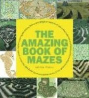 bokomslag Amazing Book of Mazes