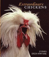 Stephen Green-Armytage - Extraordinary Chickens, Häftad