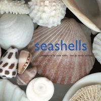 bokomslag Seashells