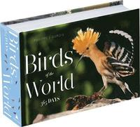 bokomslag Birds of the World: 365 Days