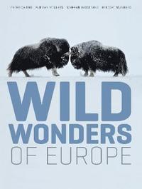 bokomslag Wild Wonders of Europe