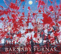 bokomslag Barnaby Furnas