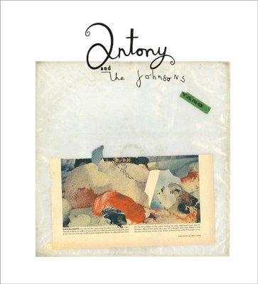 bokomslag Antony and the Johnsons: Swanlights