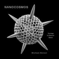 bokomslag Nanocosmos: Journeys in Electron Space