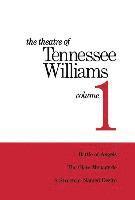 bokomslag Theatre of Tennessee Williams