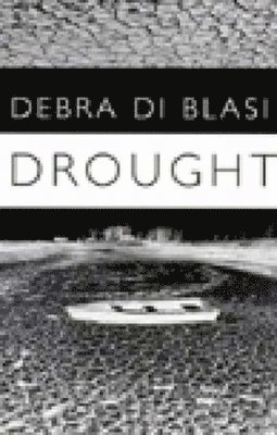 Debra Di Blasi - Drought and Say What You Like, Häftad